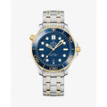 Seamaster Diver Co-Axial Master Chronometer 42mm 210.20.42.20.03.001 - Unworn with Box and Papers