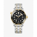 Seamaster Diver Co-Axial Master Chronometer 42mm 210.20.42.20.01.002 - Unworn with Box and Papers